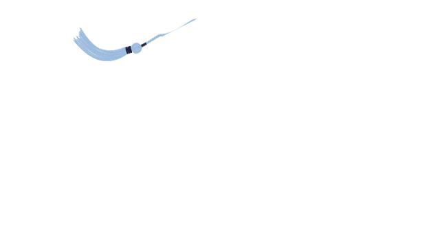 MSD Logo