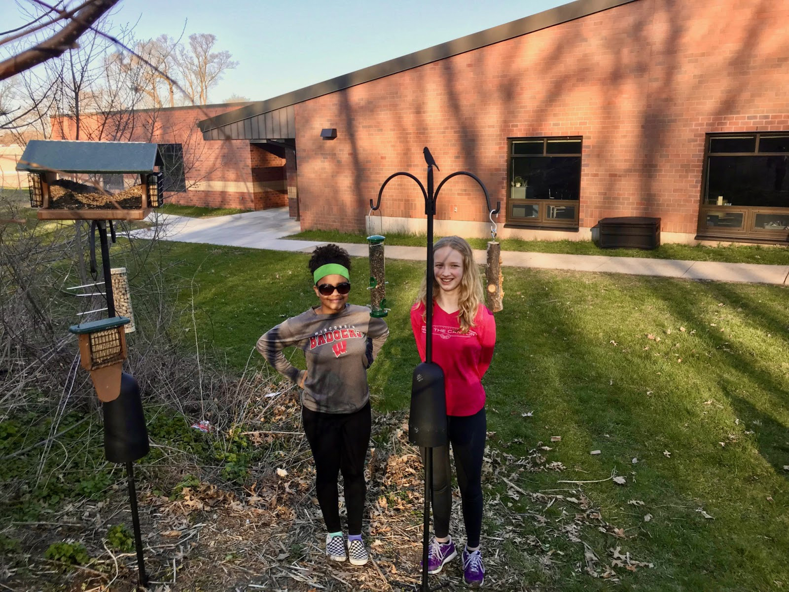 Building Bird Feeder Stations