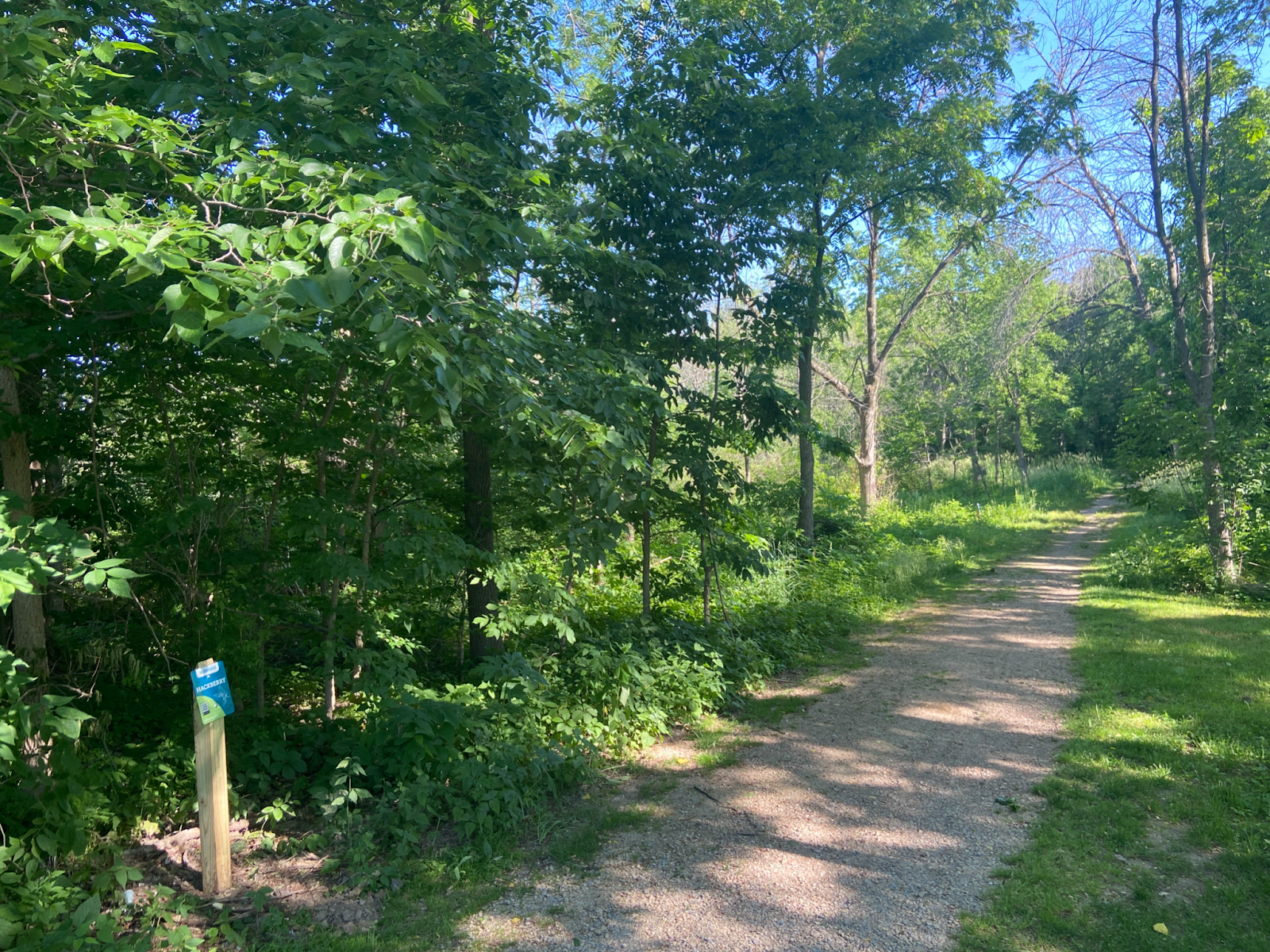 McFarland School Forest