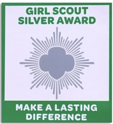 Silver Award Image