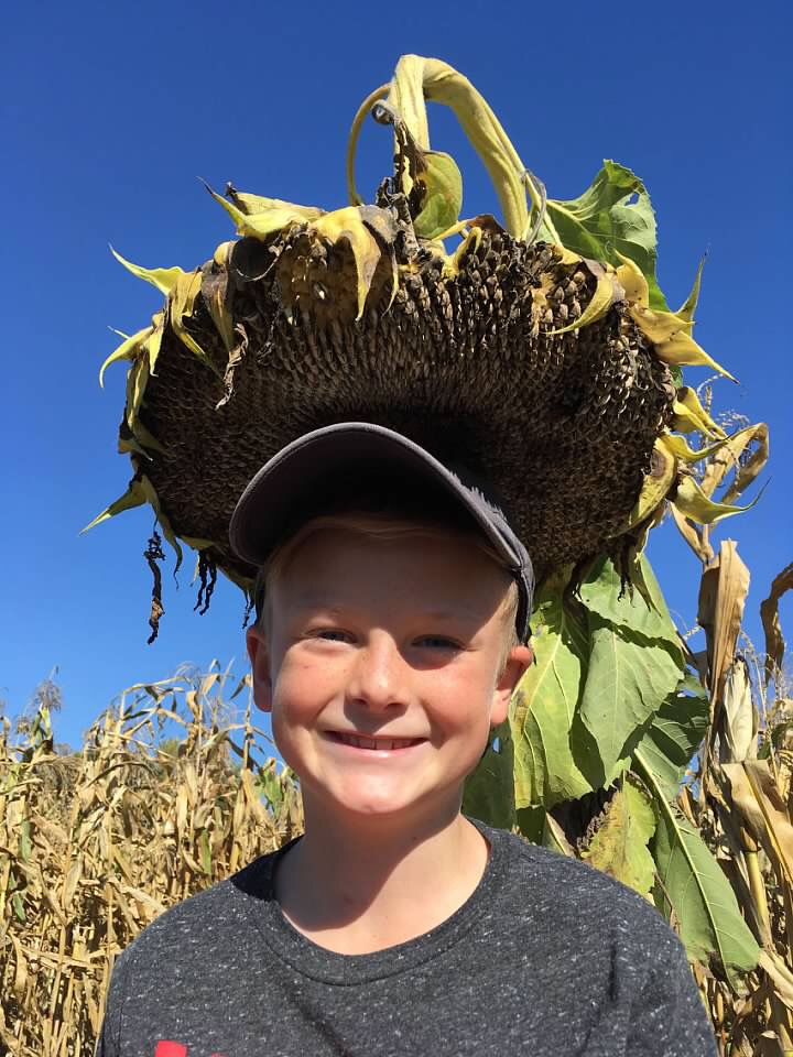 boy in cornfield with cornstalk hat